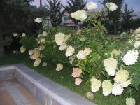 Albums/20060800-China Aug 2006/20060804-Shenyang University/83